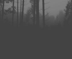 Grom (CRO) : Rehearsal